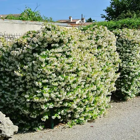 Les Cactees Petite Résidence De Tourisme Classée 3 étoiles Antibes